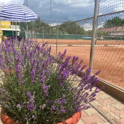Spatiu in aer liber cu vedere catre terenul de tenis