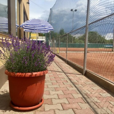 Spatiu destinat spectatorilor